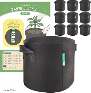 sDzv^[ 10Zbg 24cmx22cm sDz|bg Jo[ n dD(ubN, 3K)