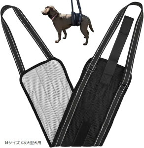  s⏕n[lX xg^hbOg[i[ďCL bV 􂦂  ^ ^ ^ V ɐH܂Ȃ D݌v MTCY /^p (ubN, MTCY /^