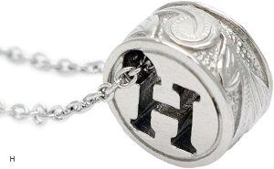 ANZT[Vbv T[WJXeX CjV y_glbNX nCAWG[ fB[X At@xbg(Vo[)