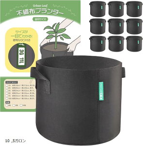 yyVLO1ʓ܁zsDzv^[ 10Zbg 29cmx25cm sDz|bg Jo[ n dD(ubN, 5K)