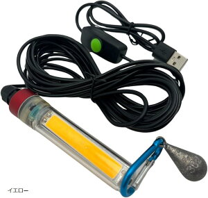 W USBd  LED Cg 30g dt 20W IP68 h 5m ނ Cނ (CG[)