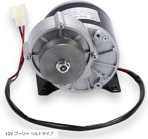 ݊i M  [^[ 12V 250W ] oCN XN[^[ d   DIY 쐬 uV DC[^[ XvPbg  ėpi v[[ xg^Cv(12V v[[ xg^Cv)