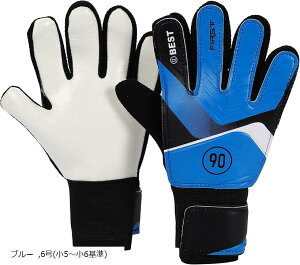 L[p[O[u WjA qp LbY NTbJ[ g[jOp(u[, 6(5`6))