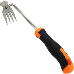 蓹 G  ЎL l{܌L G G 芙 | K[fjO XeX VRObv (IW)