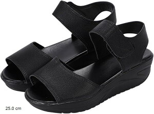 fB[X T_ i[XV[Y [T_ I[vgD  JWA  ItBX(ubN, 25.0 cm)