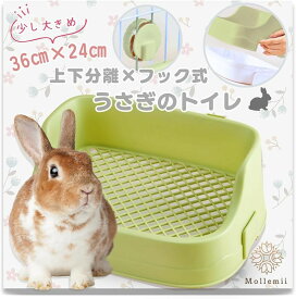 うさぎ トイレ 36x24 上下分離式 ケージ固定 フック取り外し 隅までメッシュ網 グリーン (グリーン)