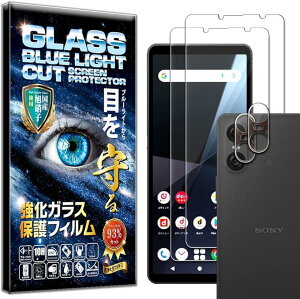 2���{2�� �t�B���� Xperia 10 VI SO-52E �p �K���X�t�B���� �u���[���C�g�J�b�g �J�����t�B���� �����Y�t�B���� �����Y�ی�K���X �����Y�J�o�[ �ی�t�B���� ���� ������ ������ ���{�� ���Ɏq 0.2