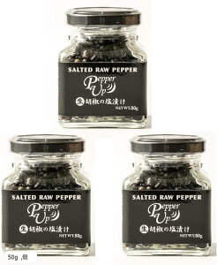 Ӟ̉Ђ ubNybp[ Ӟ. Ӟ ybp[Abv 3(50g)