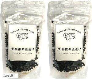 Ӟ̉Ђ ubNybp[ Ӟ J|bgybp[ ybp[Abv 2(100g)