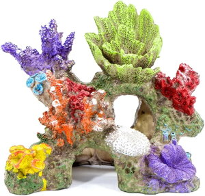 ANAE IuWF X B  I[ig u CeA  (}`J[)