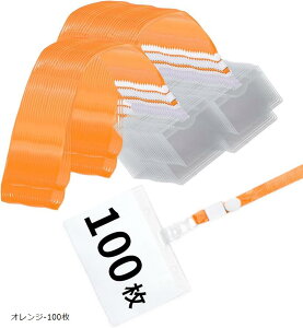 l[z_[ DP[X Dz_[ 񉺂 | Nbv Xgbv vX`bN NA  (IW-100)