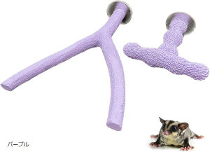 tNK 􂦂 ܂Ƃo[ TY^ ܌ P[W ~܂  炴  p[v (p[v)