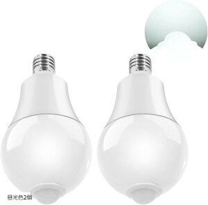 LEDd ZT[Ɛl̃ZT[t E17 nQd80 Wɑ (, F2)