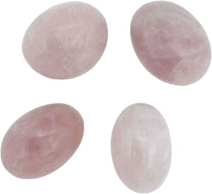 [YNH[c 100g  VR ^u ^    sN p[Xg[ z([Y)