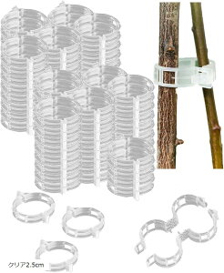 |Nbv UNbv300Zbg vX`bN Ax  |pЂ NA(NA, NA2.5cm)