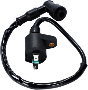 ݊i oCN COjbVRC z_ X[p[Ju L[ S nCp[ 12V ėpЊOi (ubN)