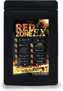 yyVLO1ʓ܁zREDZONE EX N`C_ ubNWW[ N[u Jj` HMB { Tv