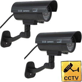 【楽天ランキング1位入賞】ダミーカメラ 2個セット フェイクカメラ 監視カメラ 赤LED常時点滅