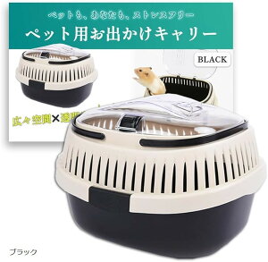  L[ P[X o P[W ړp nX^[ tFbg CR IJ ZLZC  ʉ@ (ubN, Small)