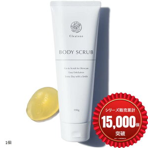 yyVLO1ʓ܁zIݎ G  {fBXNuxVK[XNuxqxpxpx195gx NAg[