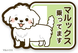 MKE }bNX Ă܂ XebJ[ G ~bNX hbOCJ[ { (}bNX)