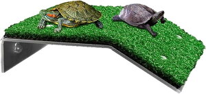 T   J ঒  ANAE LTCY (O[)