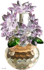 NX^t[  v[g u CeA u v[g TLb`[ I[ ԗ KX p[v (p[v, )