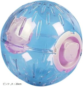 nX^[  nX^[{[ ѓ U i[{[ V GNTTCY{[ Oo (sN, F20cm)