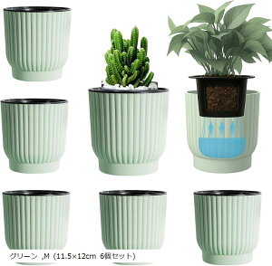  v^[ ʋ Aؔ ȋ t ϗtA  (O[, M (11.5x12cm 6Zbg))