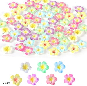 �f�R�p�[�c �v�������A 7�F 70�Z�b�g ���W�� �� �r�[�Y �l�C���p�[�c (2.2cm)