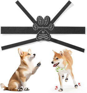 yyVLO1ʓ܁zǃo[W ~ V V[ ̍bɉ񂷑т̃fUC ϋv S  ی m (ubN, m)