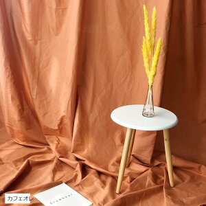 wiz 300cmx240cm n n B Bep  ʐ^ pr Vtɂ obN XN[ X^WI NX(JtFI)