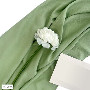 wiz l 300cmx250cm n n B Bep  ʐ^ pr Vtɂ obN XN[ X^WI NX sX^`I (sX^`I)