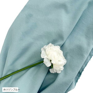 wiz l 120cmx180cm n n B Bep  ʐ^ pr Vtɂ obN XN[ X^WI NX z]u[ (z]u[)