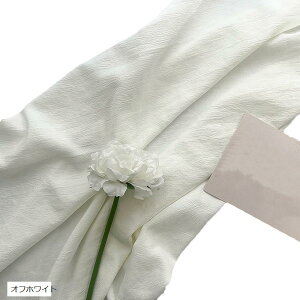 wiz l 300cmx250cm n n B Bep  ʐ^ pr Vtɂ obN XN[ X^WI NX ItzCg (ItzCg)