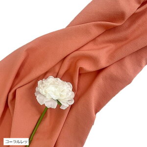 wiz l 300cmx250cm n n B Bep  ʐ^ pr Vtɂ obN XN[ X^WI NX R[bh (R[bh)