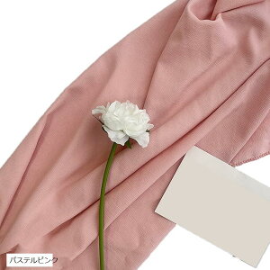 wiz l 300cmx250cm n n B Bep  ʐ^ pr Vtɂ obN XN[ X^WI NX pXesN (pXesN)