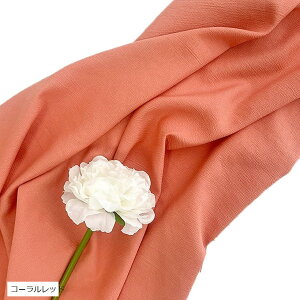 wiz l 120cmx180cm n n B Bep  ʐ^ pr Vtɂ obN XN[ X^WI NX R[bh (R[bh)