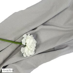 wiz l 120cmx180cm n n B Bep  ʐ^ pr Vtɂ obN XN[ X^WI NX p[O[ (p[O[)