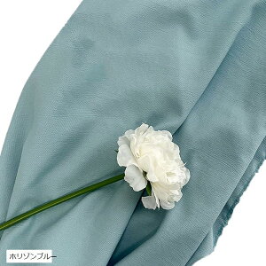 wiz l 180cmx250cm n n B Bep  ʐ^ pr Vtɂ obN XN[ X^WI NX(z]u[)