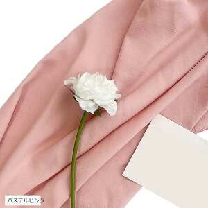 wiz l 120cmx180cm n n B Bep  ʐ^ pr Vtɂ obN XN[ X^WI NX pXesN (pXesN)