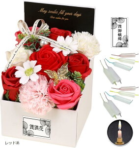   ͂Ȃ {bNXt[ 낤 ~    Zbg SW2473bhn (bhn, Medium)