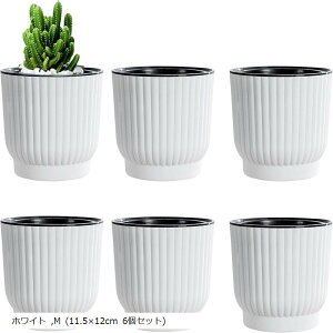  v^[ ʋ Aؔ ȋ t ϗtA  (zCg, M (11.5x12cm 6Zbg))