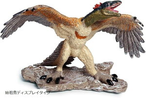  tBMA A ͌^ WI 30cm ঒  H qߋ v[g fBXvC ncfBXvC^Cv