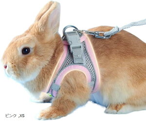 Uccellino  bV n[lX  ʋC  [h ȒP ETMpn[lX sN XS (sN, XS)