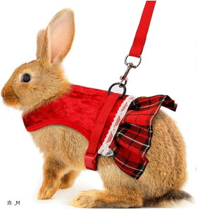 Uccellino  t n[lX  [h ȒP  `FbN ETMpn[lX  M (, M)