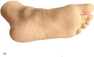  }lL g\[ fB[X  ͌^ X fBXvC  21cm E 23cm Б A 21cm(21)