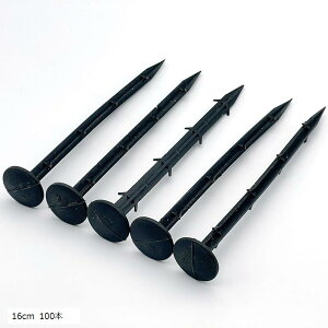 hV[g Œ s PPY 100{  ɂ   yO B | ؉  K[fjO G _ 16cm (16cm 100{)