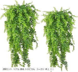 tFCNO[  ݂艺 ^ CeA O Ǌ| ϗtA 2Zbg A A gsJ [J  ~j(2Zbg A A gsJ [J, 78cm L A