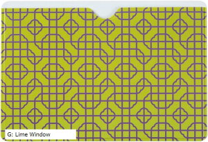 RFID XL~Oh~ J[hz_[ J[hP[X COsɕ֗ ICJ[hveNg hƑ΍ XyClfUCi[̂ȗspi Lime Window(G: Lime Window)
